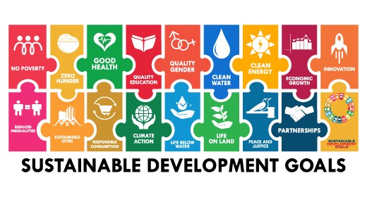 SDGs IJRM